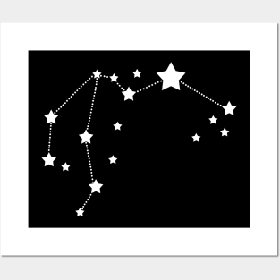 Aquarius Stars Zodiac Constellation Posters and Art